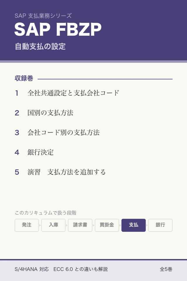 SAP FBZP：自動支払の設定